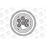 BorgWarner (BERU) ZS307 Zündspule