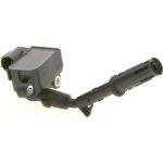 BOSCH 0 221 604 034 Zündspule BOSCH 0 221 604 034 Zündspule