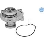 Wasserpumpe, Motorkühlung 113 220 0002