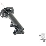Stoßdämpfer C2509L Stoßdämpfer C2509L