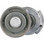 Spannrolle, Keilrippenriemen T38439 Spannrolle, Keilrippenriemen T38439