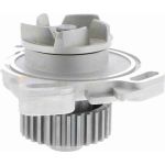 Vaico V10-50031 Wasserpumpe Vaico V10-50031 Wasserpumpe