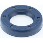 Dichtring 12010825B
