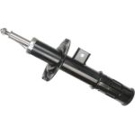 Stoßdämpfer 316 762