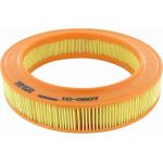 Vaico V10-0607 Luftfilter Vaico V10-0607 Luftfilter