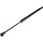 Gasfeder, Koffer-/Laderaum 12-0232