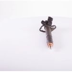 BOSCH 0 445 116 012 Einspritzdüse