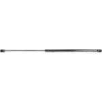 Gasfeder, Koffer-/Laderaum V22-0256
