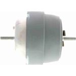 Vaico V10-2184 Lagerung, Motor