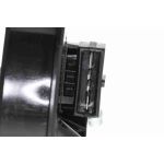 Sensor, Kraftstoffvorrat V10-09-1231