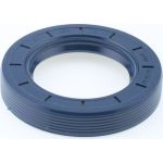 Dichtring 12010910B