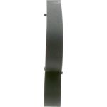 Keilrippenriemen 1 987 947 048 Keilrippenriemen 1 987 947 048