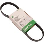 Keilrippenriemen FB 6PK800 Keilrippenriemen FB 6PK800