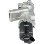 AGR-Ventil 48325 AGR-Ventil 48325