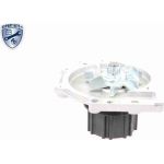 Vaico V95-50007 Wasserpumpe Expert Kits + Vaico V95-50007 Wasserpumpe Expert Kits +