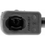 Gasfeder, Koffer-/Laderaum V22-0211