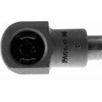 Gasfeder, Koffer-/Laderaum V10-1929 Gasfeder, Koffer-/Laderaum V10-1929