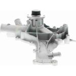 Wasserpumpe V30-50039 Wasserpumpe V30-50039