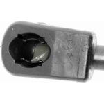 Gasfeder, Motorhaube V50-0038 Gasfeder, Motorhaube V50-0038