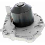 Vaico V46-50007 Wasserpumpe