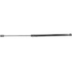 Gasfeder, Koffer-/Laderaum V20-0061