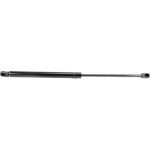 Gasfeder, Koffer-/Laderaum V10-1953 Gasfeder, Koffer-/Laderaum V10-1953