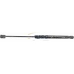 Vaico V20-2881 Gasfeder, Kofferraum/Laderaum Green Mobility Parts