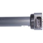 Zündspule 245820