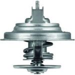 Mahle TX 31 92D Thermostat, Kühlmittel BEHR