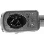 Gasfeder, Koffer-/Laderaum V10-1946 Gasfeder, Koffer-/Laderaum V10-1946