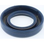 Dichtring 12010825B