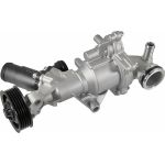 Metzger 4007072 Wasserpumpe, Motorkühlung