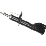 Stoßdämpfer 316 761