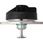 Valeo 703266 AGR-Ventil Valeo 703266 AGR-Ventil