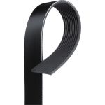Keilrippenriemen 10PK1495HD Keilrippenriemen 10PK1495HD