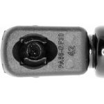 Vaico V25-0422 Gasfeder, Kofferraum/Laderaum