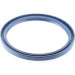 Dichtring 12012317B
