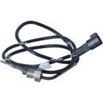 Sensor, Abgastemperatur 707217