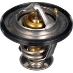 Thermostat, Kühlmittel TH56189G1