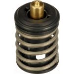 Thermostat, Kühlmittel TH63497G1