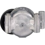 Spannrolle, Keilrippenriemen T38318 Spannrolle, Keilrippenriemen T38318