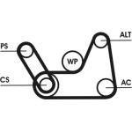 Keilrippenriemensatz 6PK1019 ELAST T1