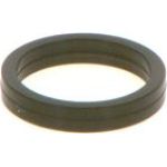 Dichtring F 00V C38 100 Dichtring F 00V C38 100