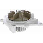 Vaico V25-50028 Wasserpumpe Green Mobility Parts Vaico V25-50028 Wasserpumpe Green Mobility Parts