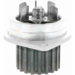 Vaico V22-50009 Wasserpumpe Vaico V22-50009 Wasserpumpe