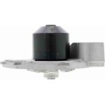Vaico V46-50007 Wasserpumpe
