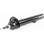 Stoßdämpfer V20-2181 Stoßdämpfer V20-2181