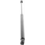 Gasfeder, Koffer-/Laderaum V10-1953 Gasfeder, Koffer-/Laderaum V10-1953