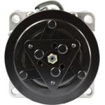 Kompressor, Klimaanlage ACP 391 000S