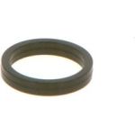 Dichtring F 00V C38 100 Dichtring F 00V C38 100